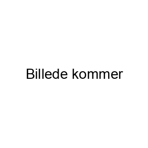 Kano og kajakudlejning