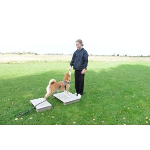 Rdgivning pr. mobil optil en 1/2 time