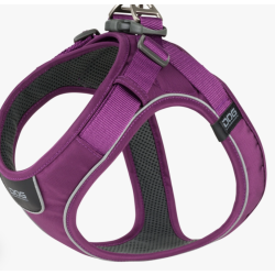 Dog Copenhagen Comfort Walk Go