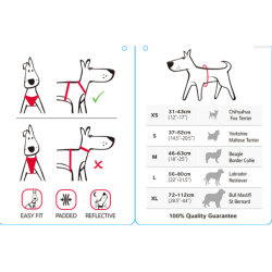 RED DINGO POLSTRET SELE